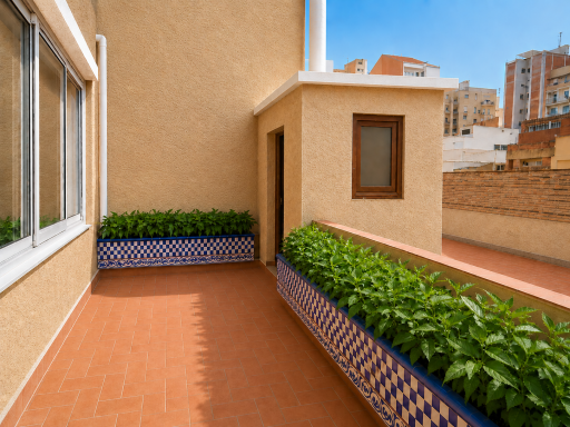 Terraza